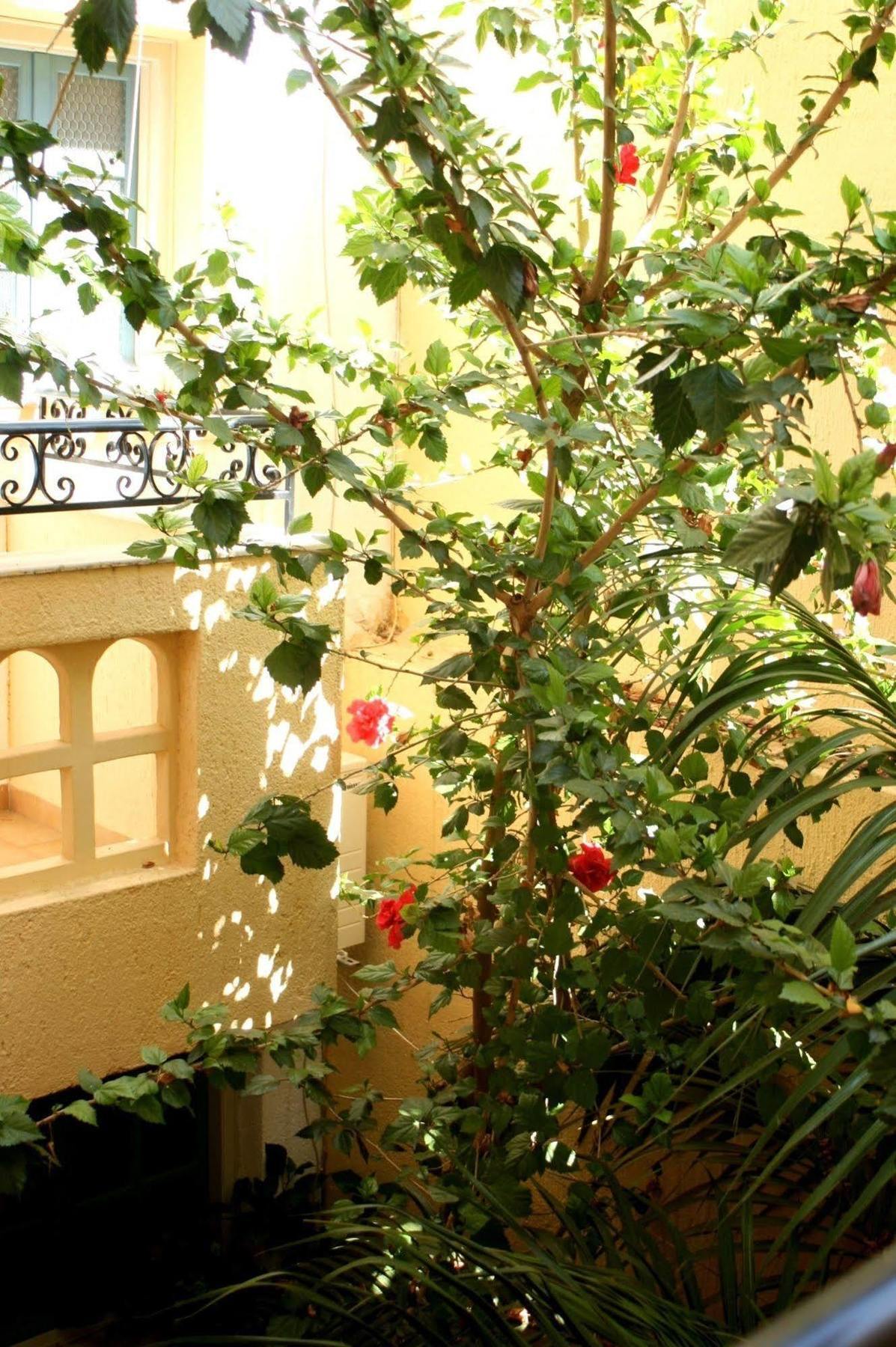 Orion Apartments Malia  Bagian luar foto
